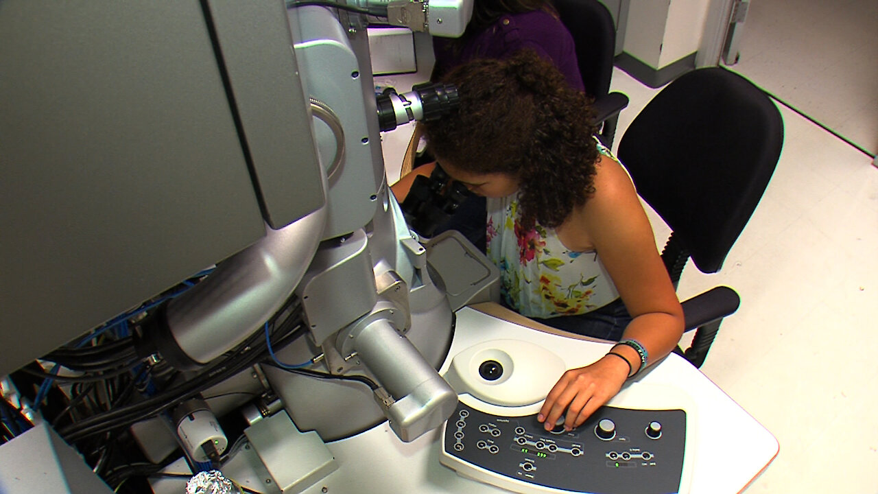 Berkeley Science Lab Interns