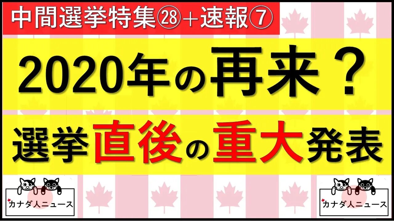 11.12 重大な報道が出る不思議なタイミング