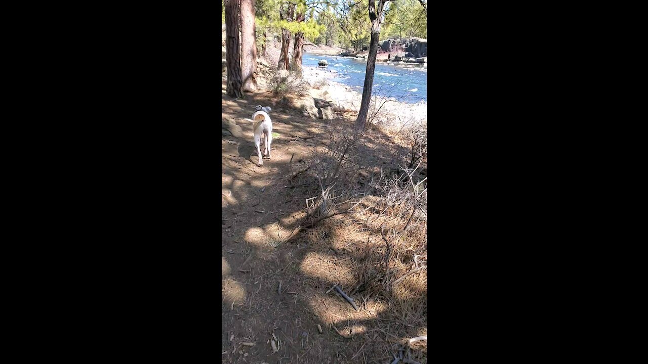 Rico on the River