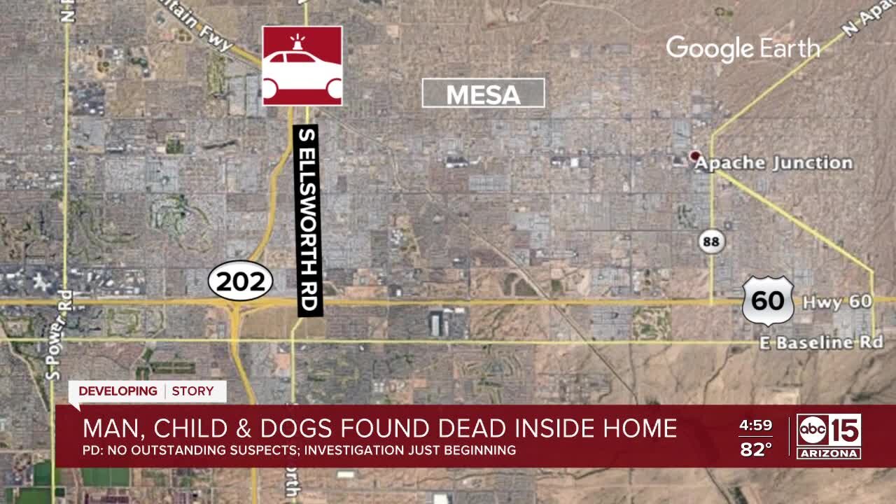 Police investigating after child, man and 2 dogs found dead inside Mesa home