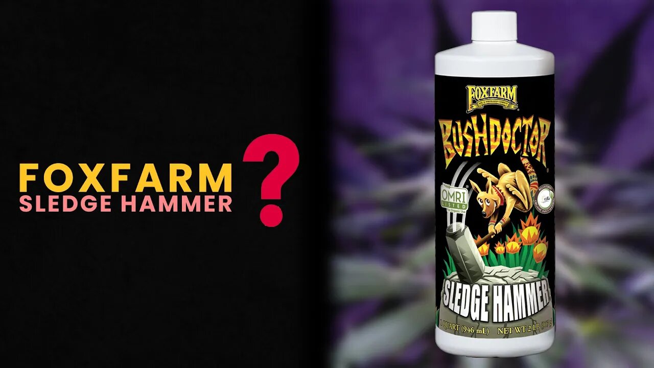 Should You Use FoxFarm Sledgehammer ?