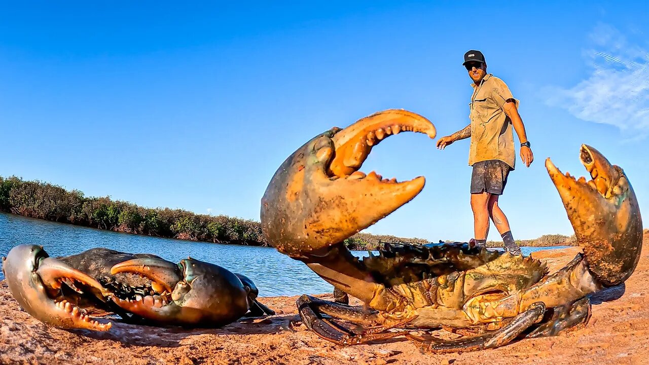 GIANT MUD CRAB CATCH AND COOK - NO FOOD SURVIVAL MISSION