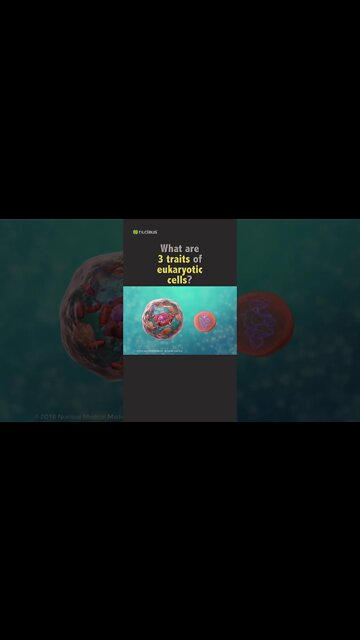 POP QUIZ: 3 traits of eukaryotic cells?