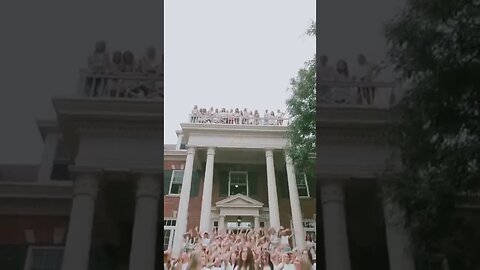 Tiktok Videos | Tavernoftinst | #fyp #short #tiktok #tiktokdance