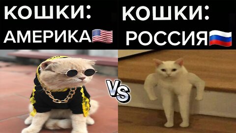 АМЕРИКА vs РОССИЯ | Приколы из Тик Тока | СМЕХ ДО СЛЕЗ