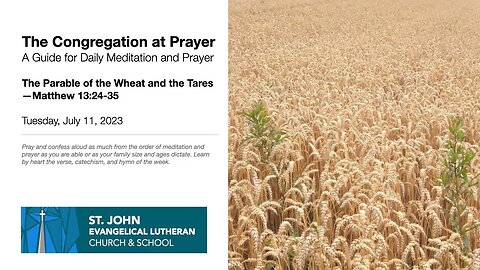 The Parable of the Wheat and the Tares—Matthew 13:24-35