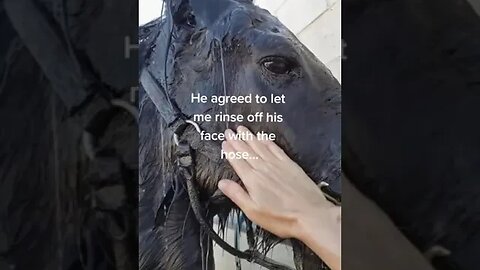 So Good About This tiktok toadstoolfarm