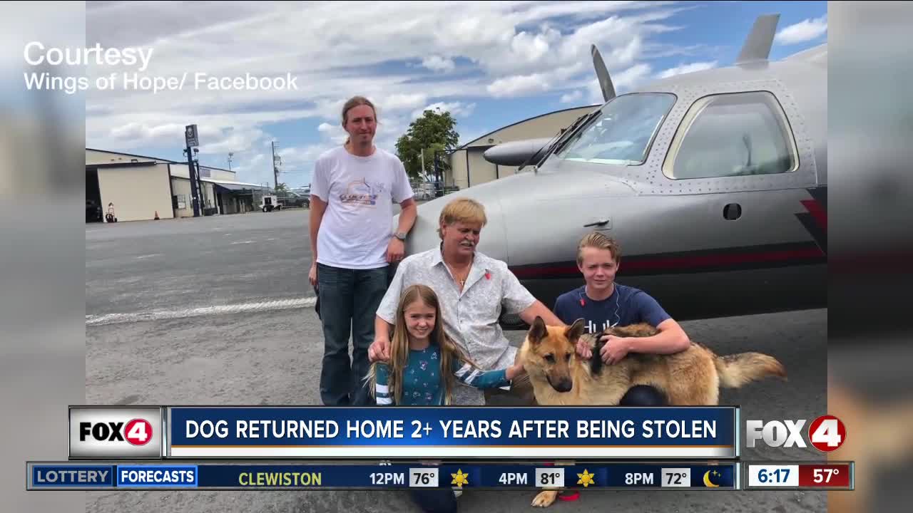 Colorado dog reunited with Florida family after 2017 theft