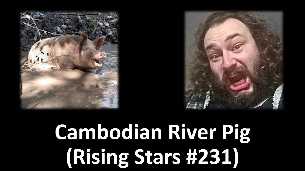 Cambodian River Pig (Rising Stars #231) [With Bloopers]