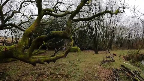 finally found apitch at Reddacleeve farm campsite. Dartmoor. 20th March 2023