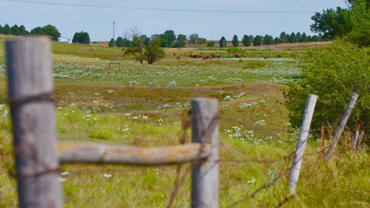 Rural Areas Turn To Student Debt Repayment To Curb Population Decline