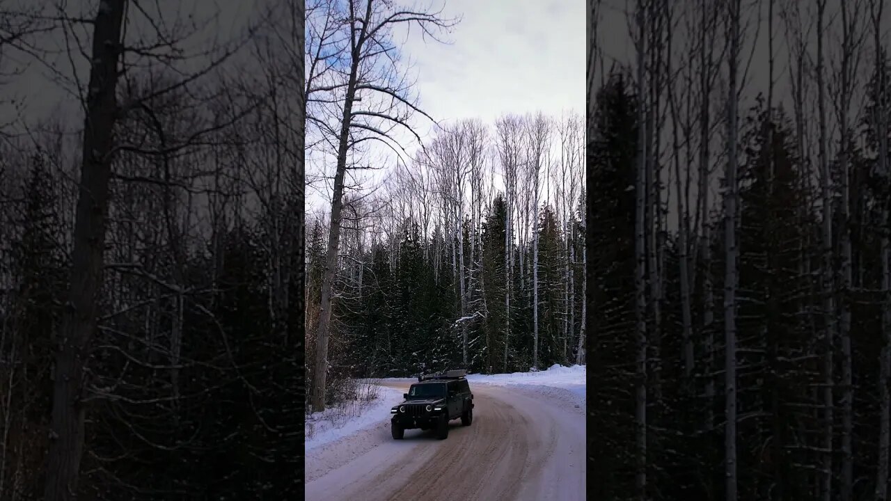 JEEP LOVES 4X4 CRUISING WINTER ROADS #shorts 🌲⛄️🌲