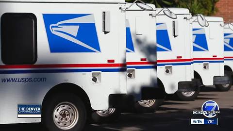 Thornton residents not getting mail due to loose pit bull