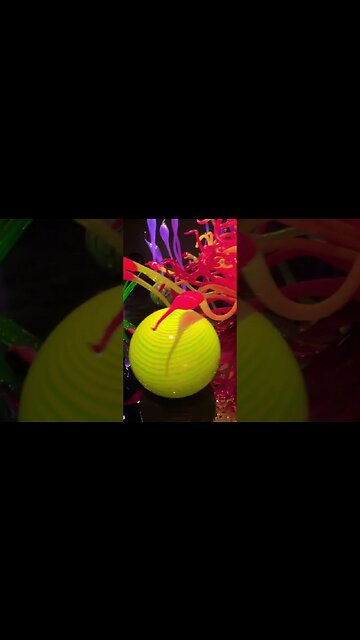 Amazing #Chihuly Glass Sculptures Part 2 #shorts