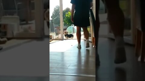 Human please open this invisible door!