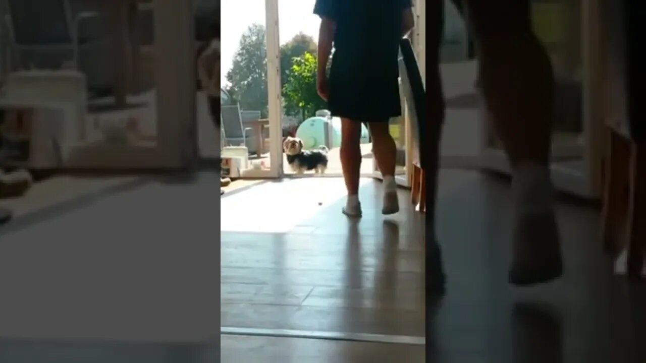 Human please open this invisible door!