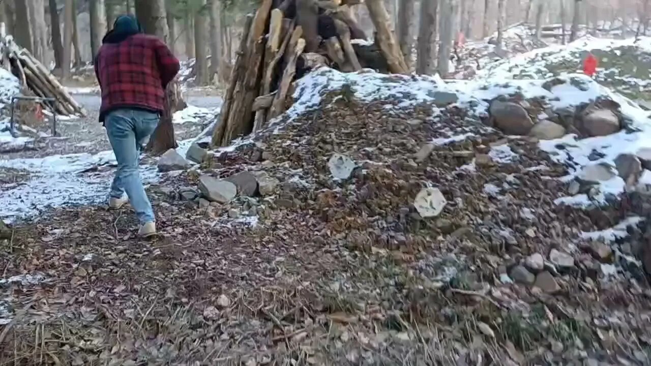 Using the Trees for Cover - NY NJ Tactical Training & CCW