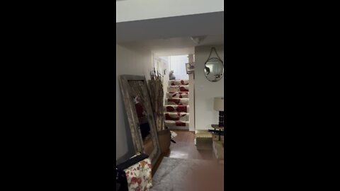 Love In The Healing Home ❤️🏡🐈