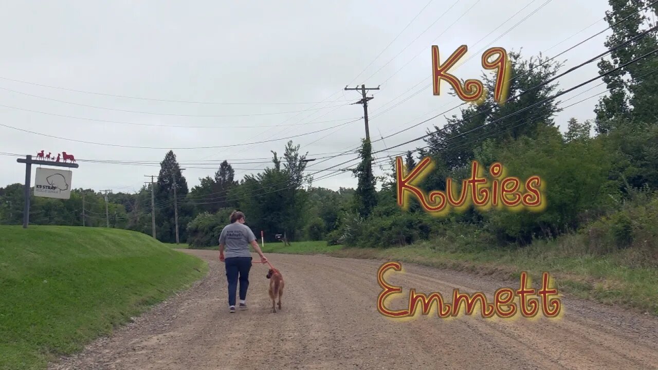 K9 Kuties Emmett