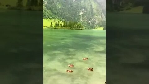 Beautiful nature