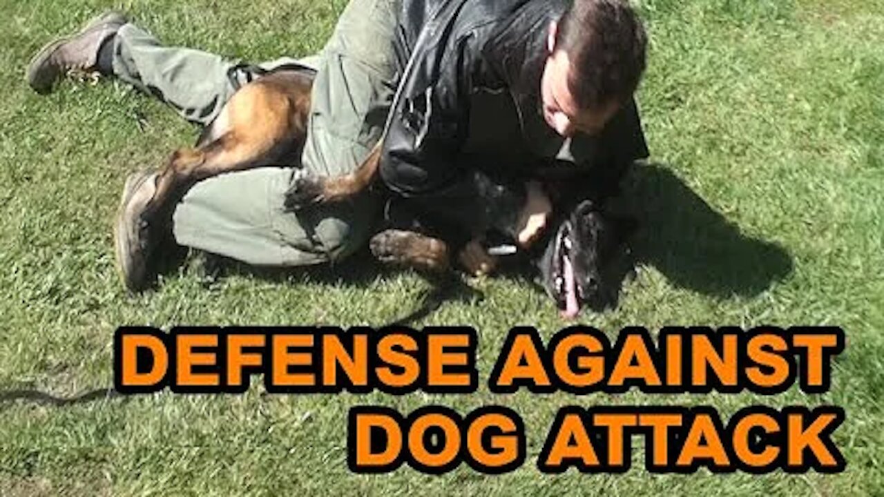 How to: Self defend against a dog attack