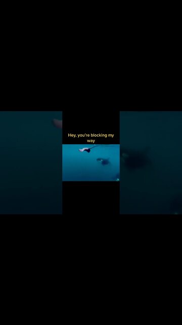 Most Amazing and trending video||relaxing your mind||trendig videos|| #shorts #trending #viral #live