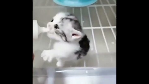 I need my milk mommy 🍼🥺
