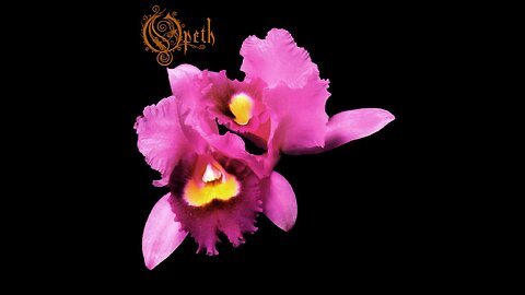 Opeth - Orchid