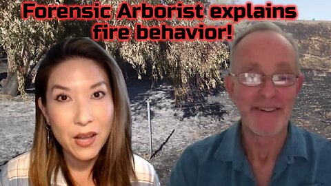 What's CAUSING These WEIRD Fire Burn Patterns in California and Maui? Forensic Arborist Explains