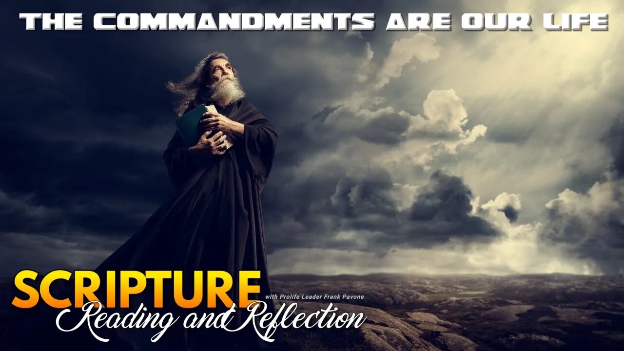 Daily Scripture Reflection and Reading: The Commandments are our Life - July 28, 2023