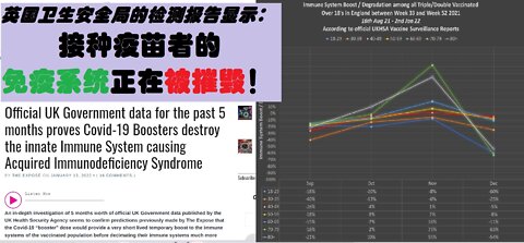 英国卫生安全局的调查显示接种疫苗者的免疫系统迅速被摧毁 - 20220114