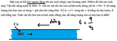 Một con cá hồi bơi ngược dòng (từ nơi sinh sống) vượt khoảng cách 300 km để (tới nơi sinh sản).