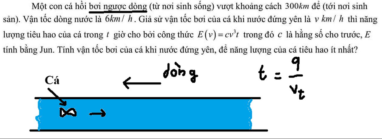 Một con cá hồi bơi ngược dòng (từ nơi sinh sống) vượt khoảng cách 300 km để (tới nơi sinh sản).