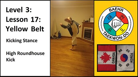Baehr Taekwondo: 03-17: Yellow Belt: Kicking Stance - High Roundhouse Kick