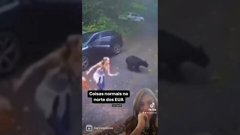 Urso invade carro e assusta moradora nos EUA