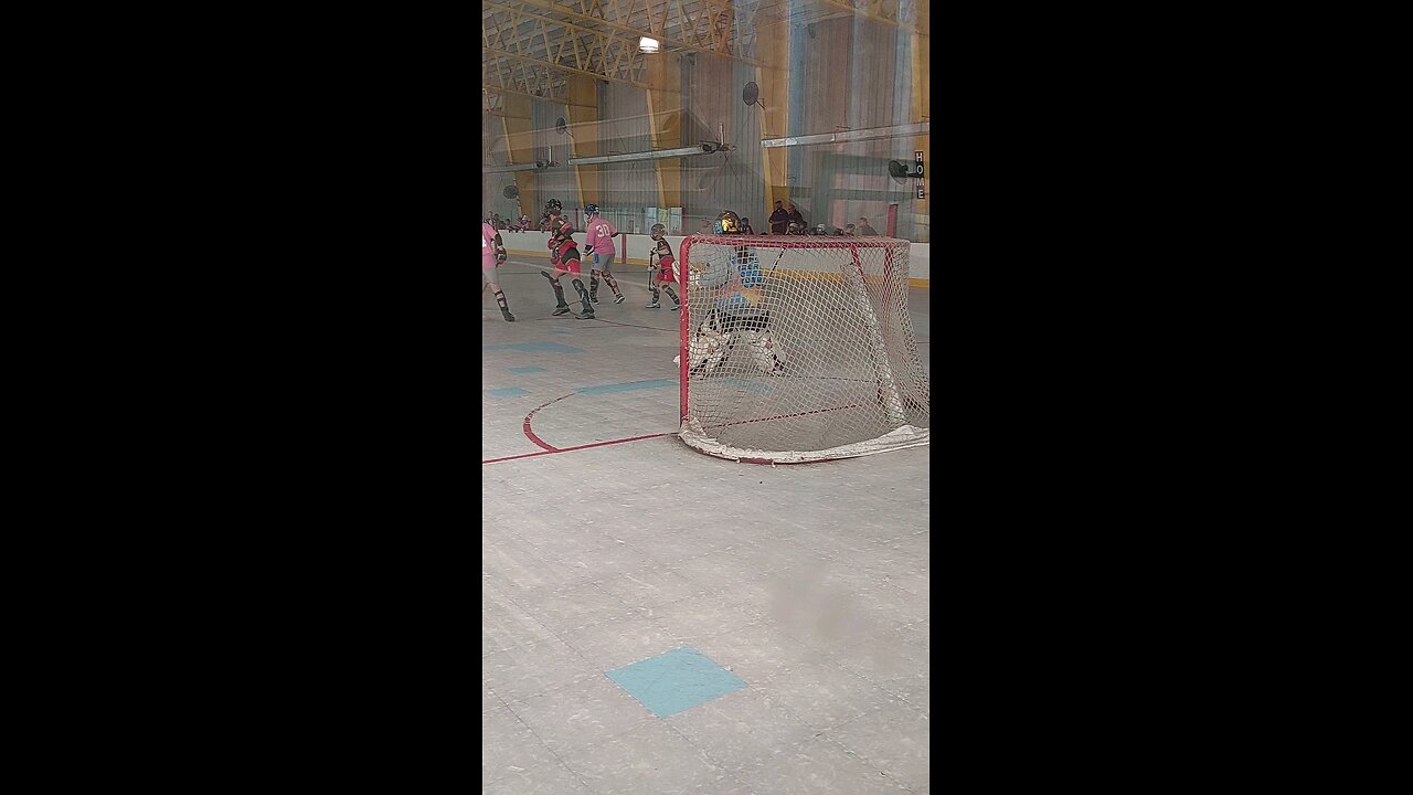 poke save #hockey