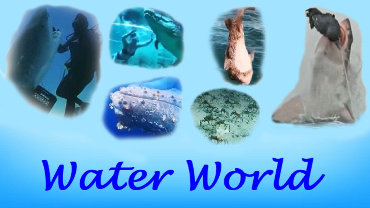 Water World