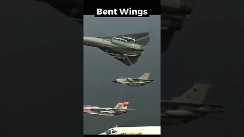 Bent Wings #short #shortvideo #wings