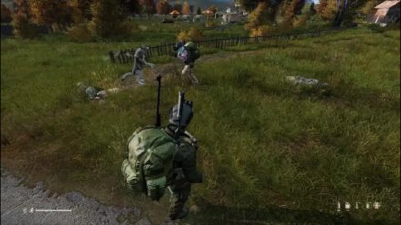 Ambush #DayZ #PS5 #wolfattack