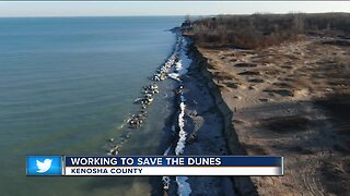 Working to save the Kenosha dunes.