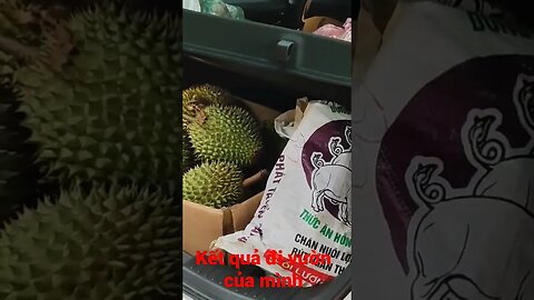 Sau 1 ngày đi vườn về