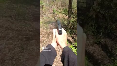 Sig p365