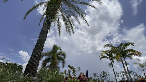 Pool Time in Paradise (Widescreen) #4K