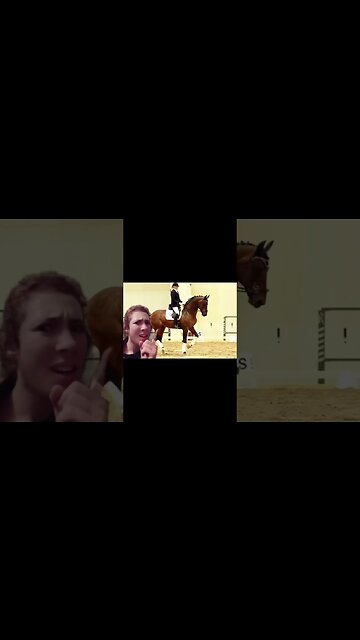 Horse Sports: Why is Soft More Regulated than Harsh?