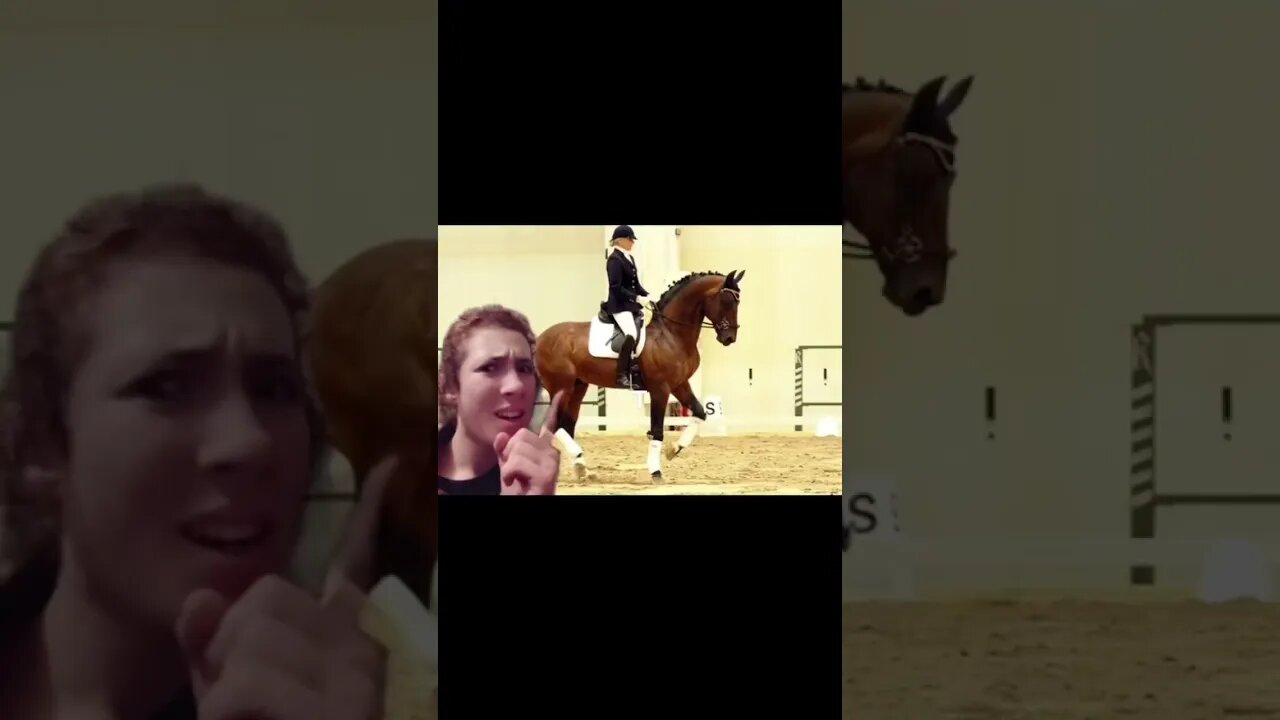 Horse Sports: Why is Soft More Regulated than Harsh?