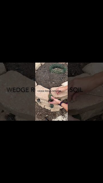 Create a Succulent Rock Wall #sempervivum #succulentsforbeginners #gardeningtips