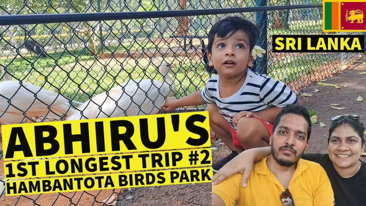 Sri lanka vlog travel | අභිරුගේ පළමු දිගම චාරිකාව #2 | Hambantota birds park