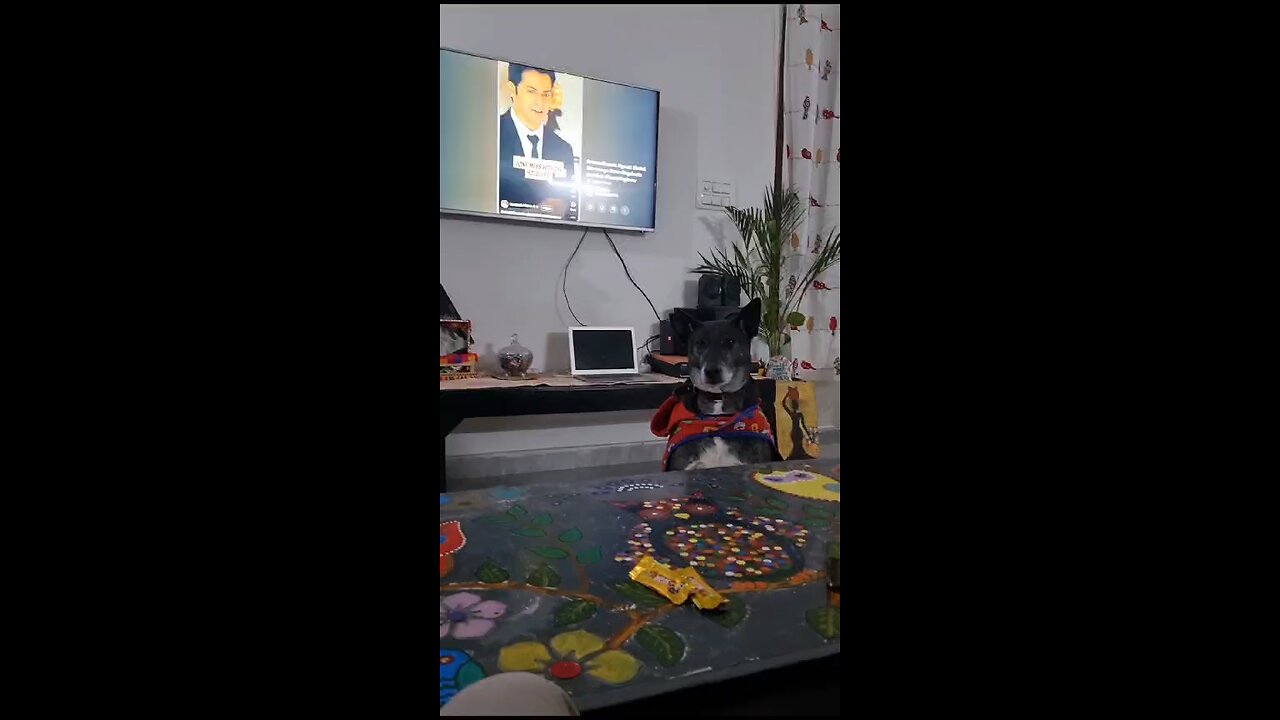 kaagu time