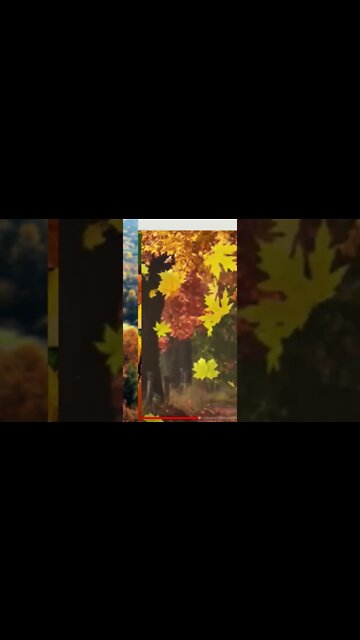 RELAXING MUSIC/DEEP SLEEP MUSIC/autumn ambience music #shorts