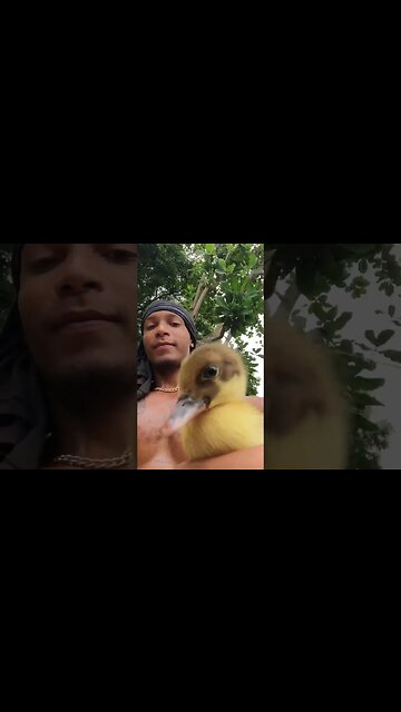 Bird Chirps On Camera